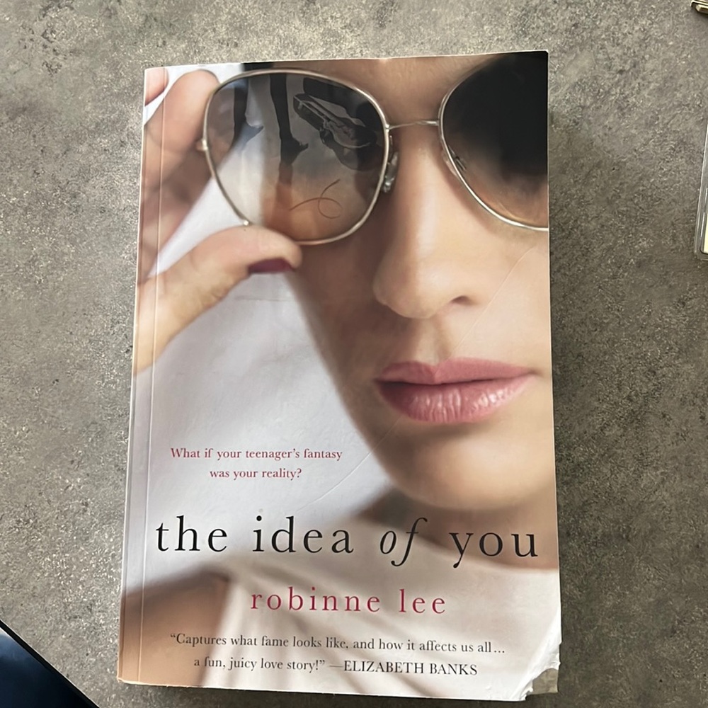 The Idea of You book